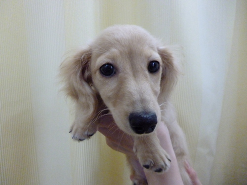 P1000059.JPG
