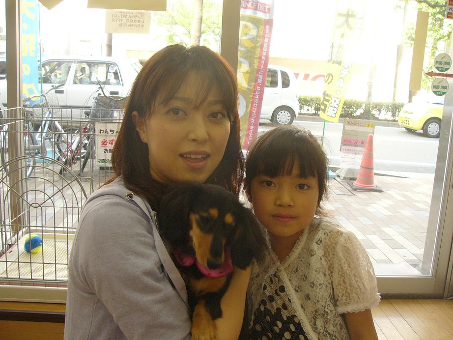 http://www.shiny-dachs.com/dogs/P1080019.JPG
